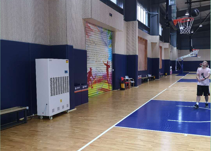 1596435917400400.jpg 2.jpg